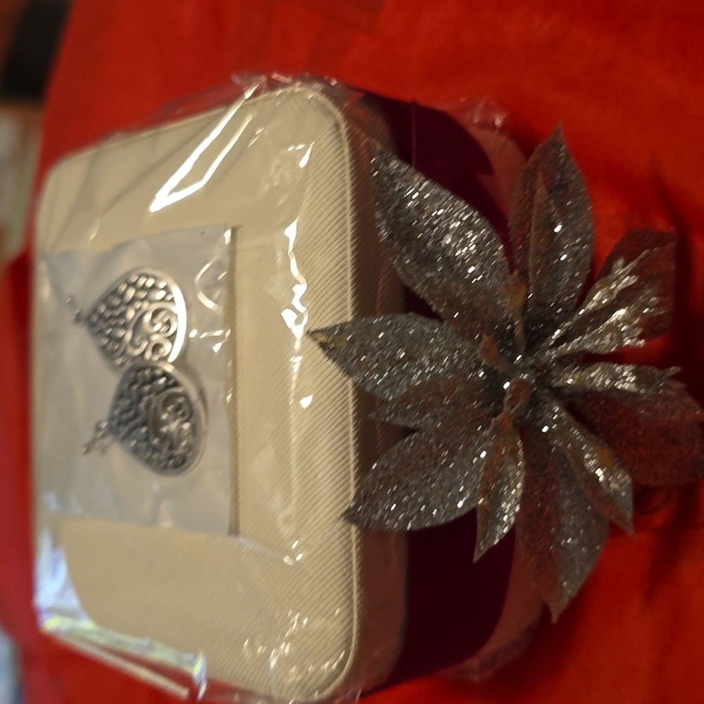 Beige Travel Jewelry Organizer Box w/ Sterling. Silver Earring